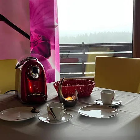 2-1 - Raum - Dieter Hoffmann Freudenstadt-kniebis Beim Nationalpark Appartement Freudenstadt