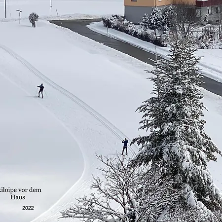Apartament 2-1 - Raum - Dieter Hoffmann Freudenstadt-kniebis Beim Nationalpark
