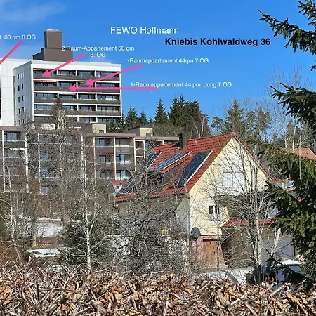 Apartment 3- 2-1 - Raum - Dieter Hoffmann Freudenstadt-kniebis Beim Nationalpark Freudenstadt