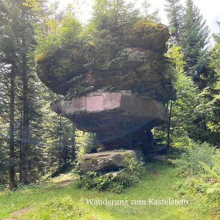 2-1 - Raum - Dieter Hoffmann Freudenstadt-kniebis Beim Nationalpark *