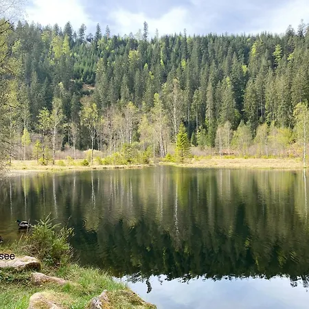 2-1 - Raum - Dieter Hoffmann Freudenstadt-kniebis Beim Nationalpark * Freudenstadt