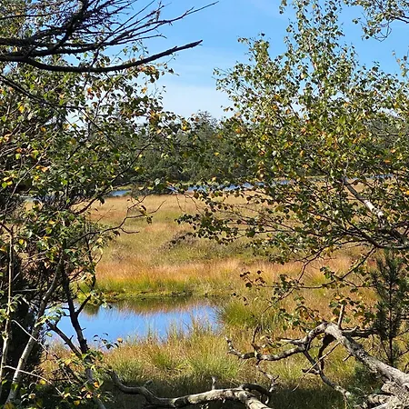 2-1 - Raum - Dieter Hoffmann Freudenstadt-kniebis Beim Nationalpark