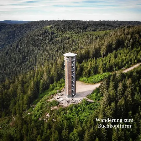 2-1 - Raum - Dieter Hoffmann Freudenstadt-kniebis Beim Nationalpark Apartament *