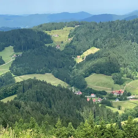 דירה 2-1 - Raum - Dieter Hoffmann Freudenstadt-kniebis Beim Nationalpark פרוידנשטאדט
