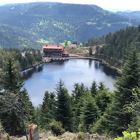 Apartament 2-1 - Raum - Dieter Hoffmann Freudenstadt-kniebis Beim Nationalpark *