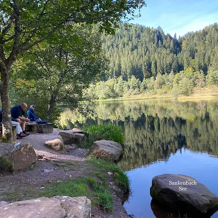 3- 2-1 - Raum - Dieter Hoffmann Freudenstadt-kniebis Beim Nationalpark *