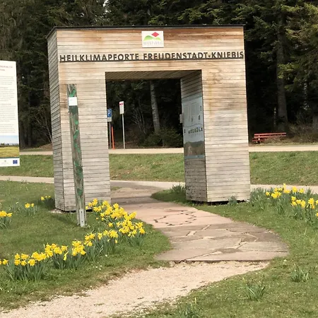 2-1 - Raum - Dieter Hoffmann Freudenstadt-kniebis Beim Nationalpark * פרוידנשטאדט