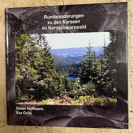2-1 - Raum - Dieter Hoffmann Freudenstadt-kniebis Beim Nationalpark Appartement *