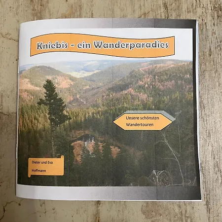 2-1 - Raum - Dieter Hoffmann Freudenstadt-kniebis Beim Nationalpark Apartament Freudenstadt