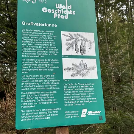 דירה 2-1 - Raum - Dieter Hoffmann Freudenstadt-kniebis Beim Nationalpark