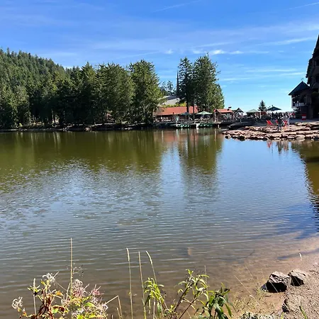 Apartament 2-1 - Raum - Dieter Hoffmann Freudenstadt-kniebis Beim Nationalpark *