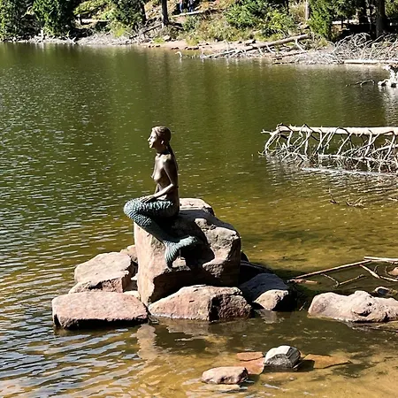 2-1 - Raum - Dieter Hoffmann Freudenstadt-kniebis Beim Nationalpark Appartement Freudenstadt