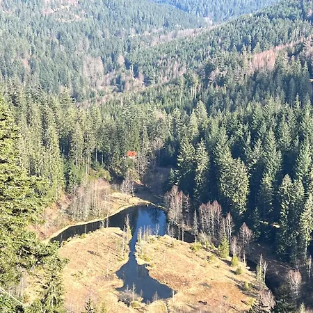 2- Raum - 58 Qm Dieter Hoffmann Freudenstadt-kniebis Beim Nationalpark *