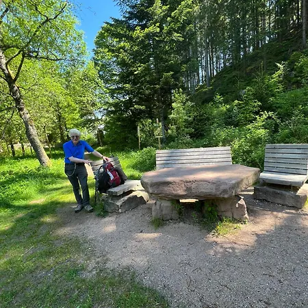 3- 2-1 - Raum - Dieter Hoffmann Freudenstadt-kniebis Beim Nationalpark Freudenstadt