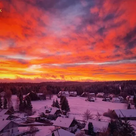2-1 - Raum - Dieter Hoffmann Freudenstadt-kniebis Beim Nationalpark